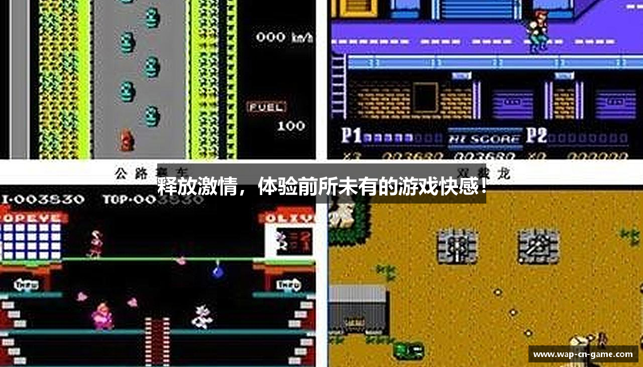 释放激情，体验前所未有的游戏快感！